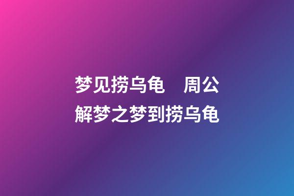 梦见捞乌龟　周公解梦之梦到捞乌龟
